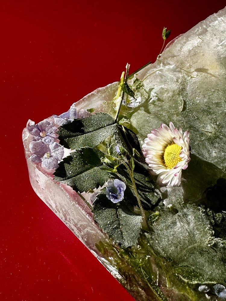 Photograph by Елена Брижеватая