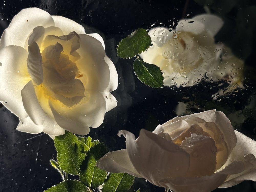 Photograph by Елена Брижеватая