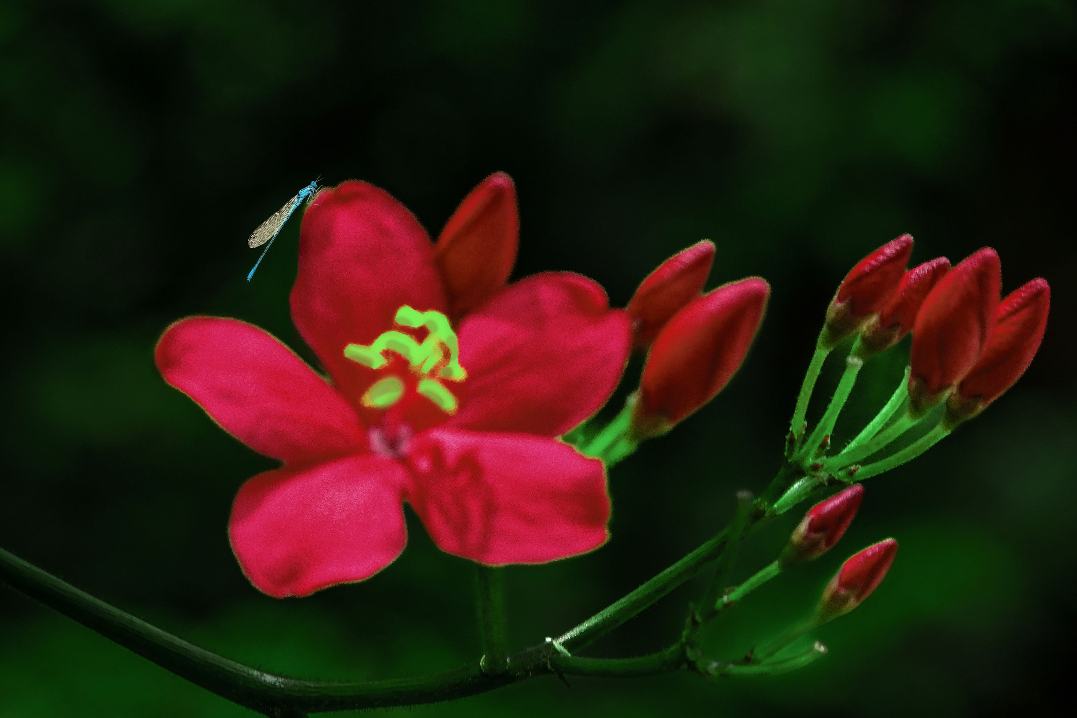 Photograph by Vy Van Bui