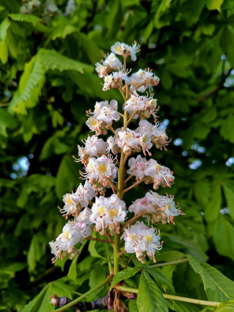 Photograph by Александр Житник