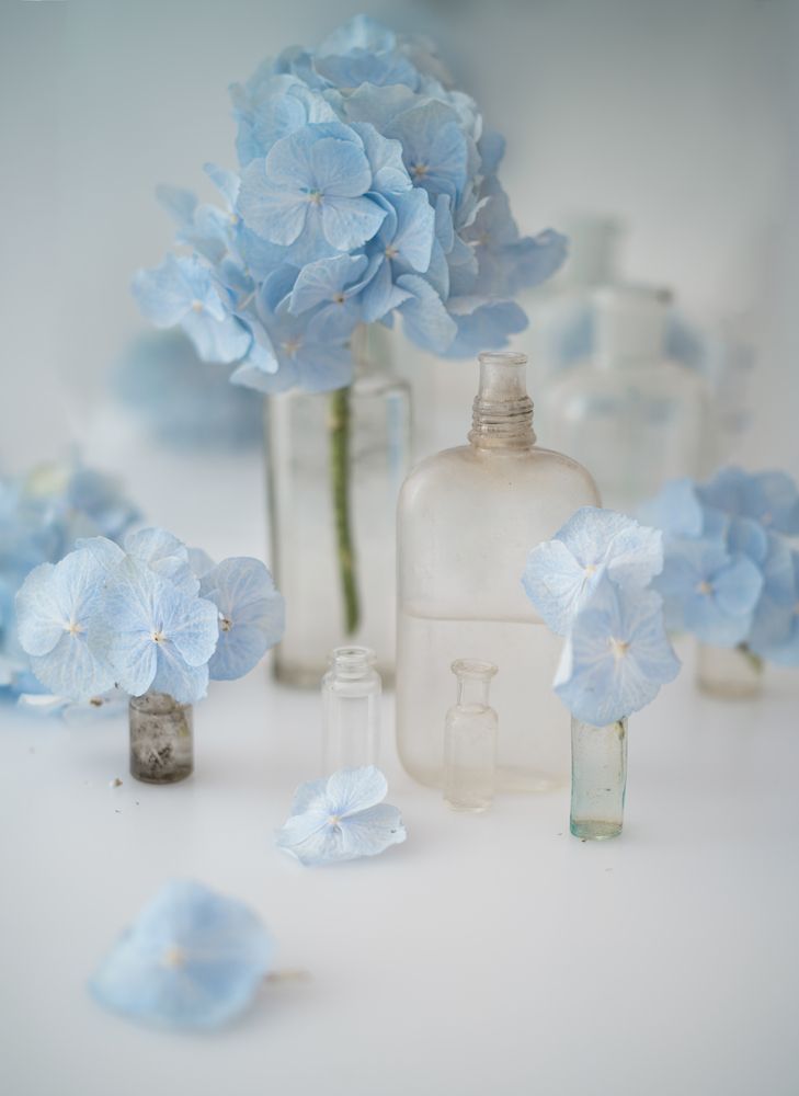 Photograph by Jelena Murina