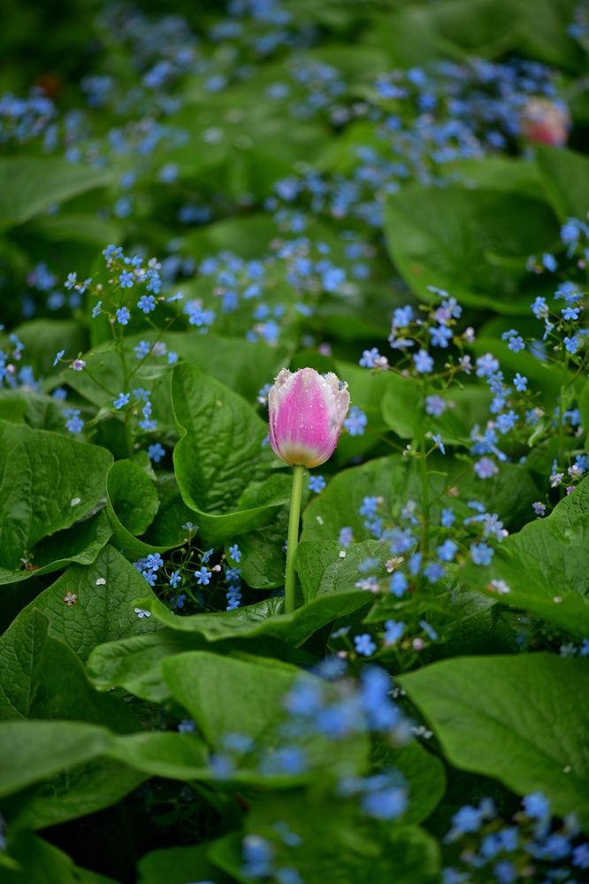 Photograph by Margareth Tikhonova