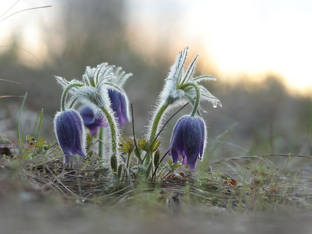 Photograph by Игорь Меркулов