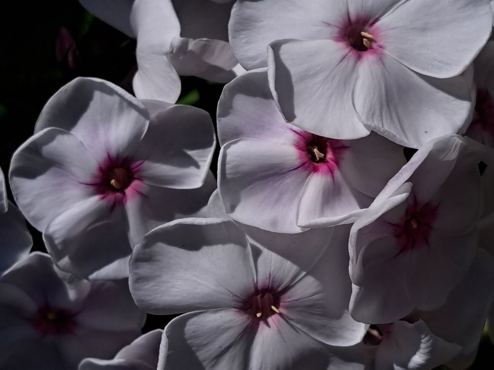 Photograph by Светлана Яковлева