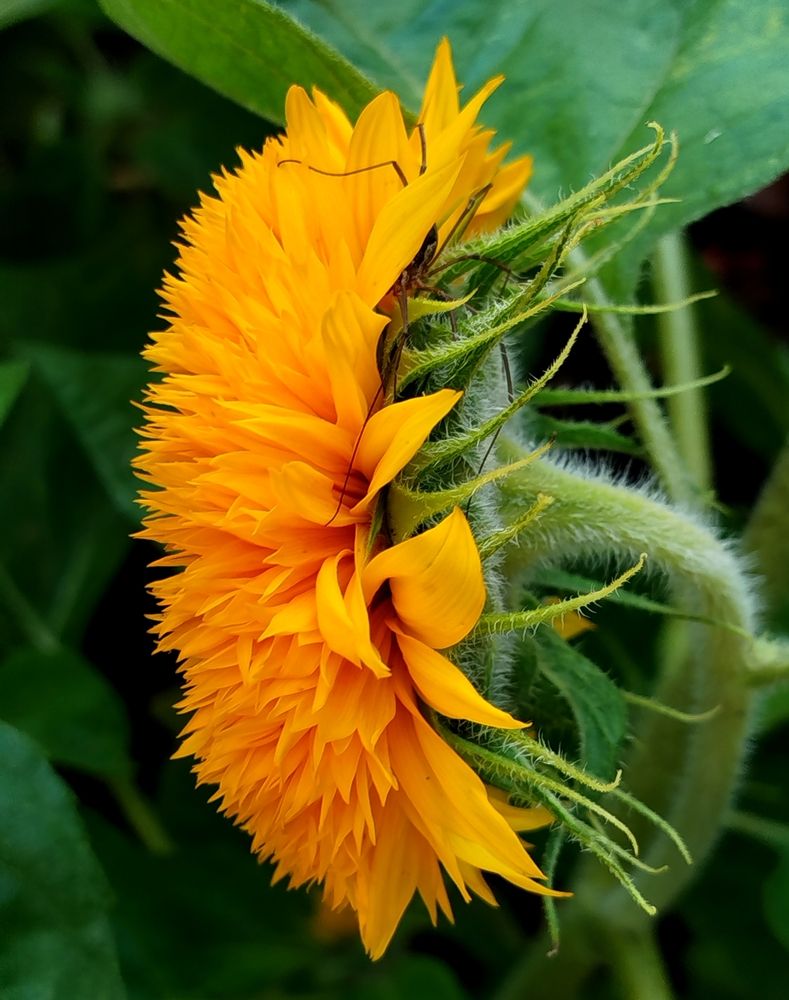 Photograph by Светлана Льдокова