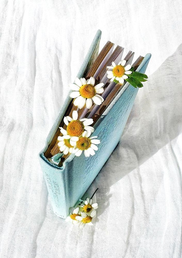 Photograph by Юлия Порфирьева