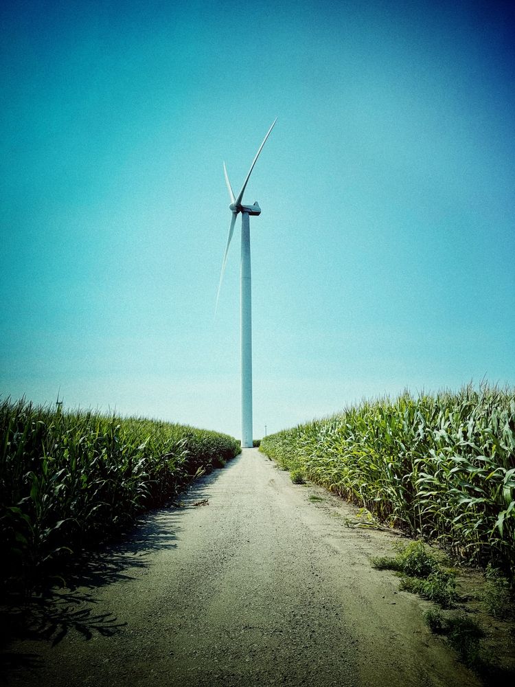 Photograph by Юлия Порфирьева