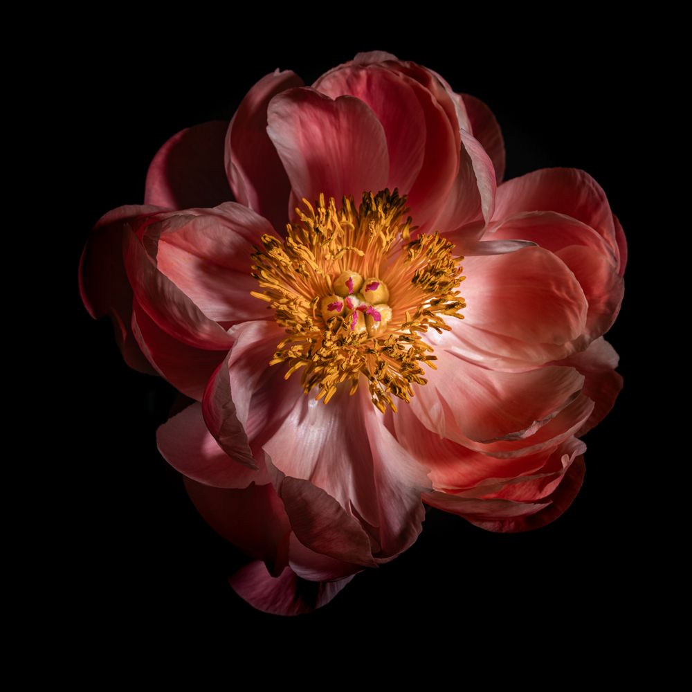 Photograph by Jelena Murina