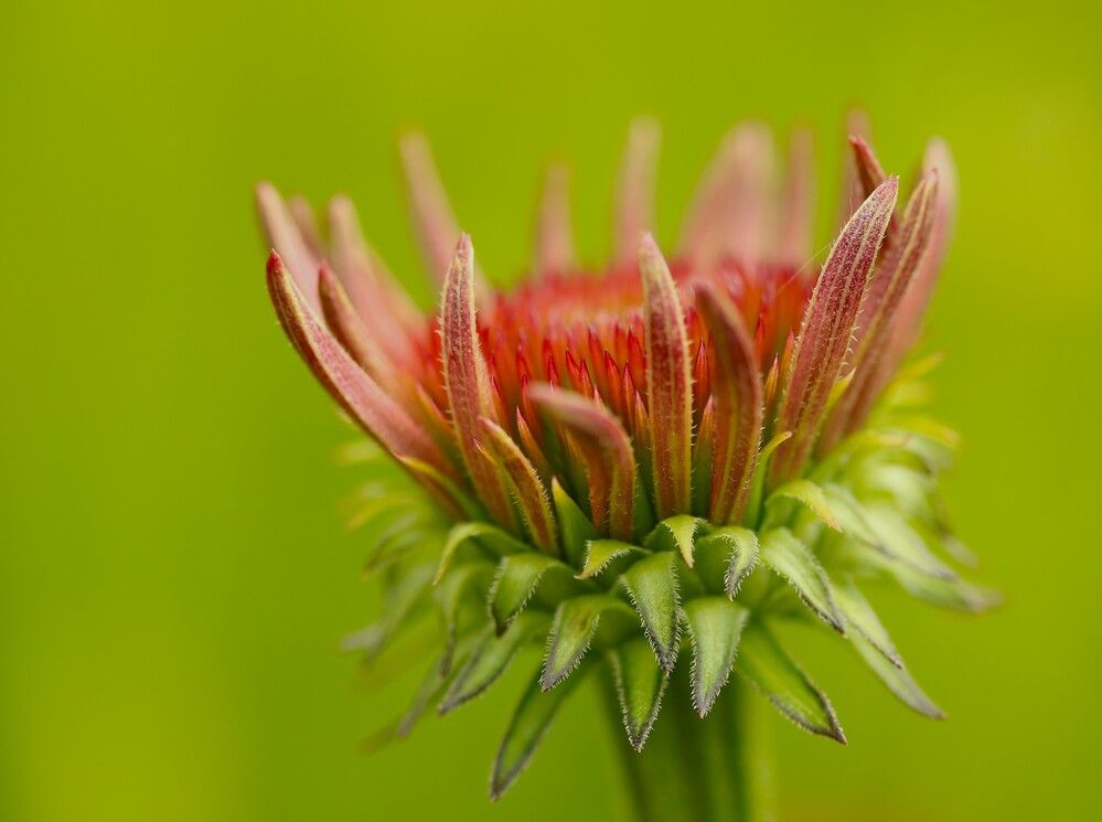 Photograph by Гагик Саркисян