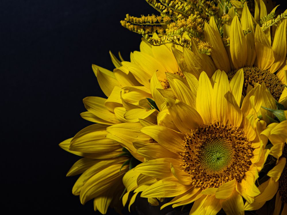 Photograph by Дмитрий Давидов