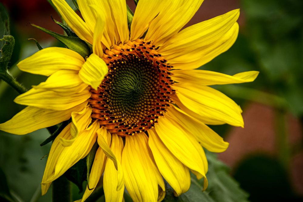 Photograph by Nhan Nguyen