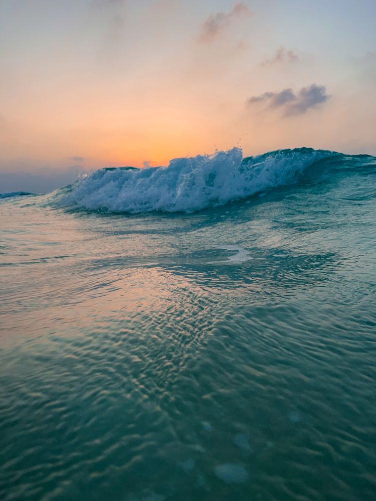Photograph by Yusuf Yamen