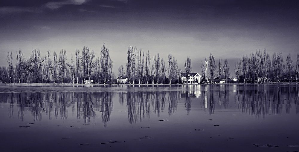 Photograph by Артемий Бикеев