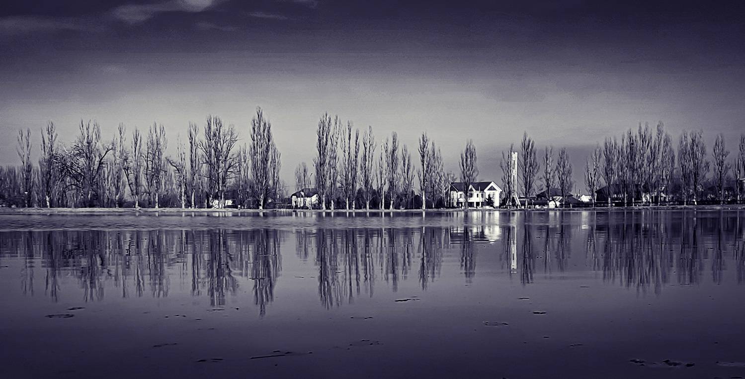 Фотография #12472285