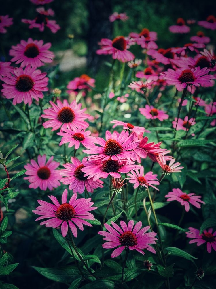 Photograph by Юлия Порфирьева