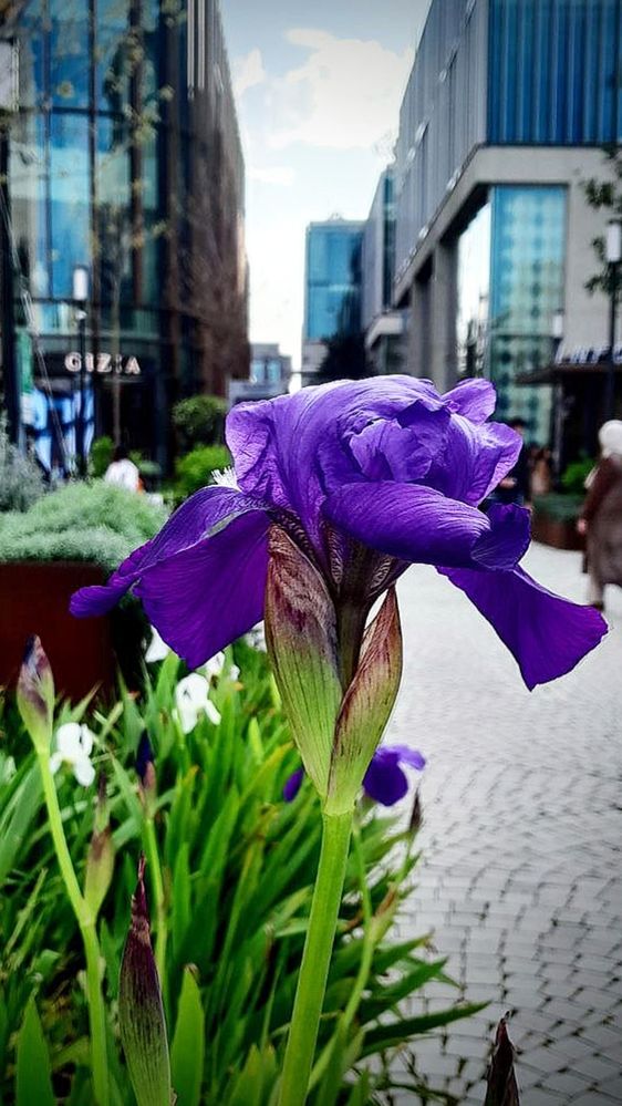 Photograph by Seljan Muradzade