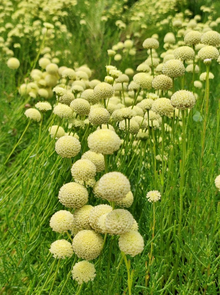 Photograph by Надежда Батракова