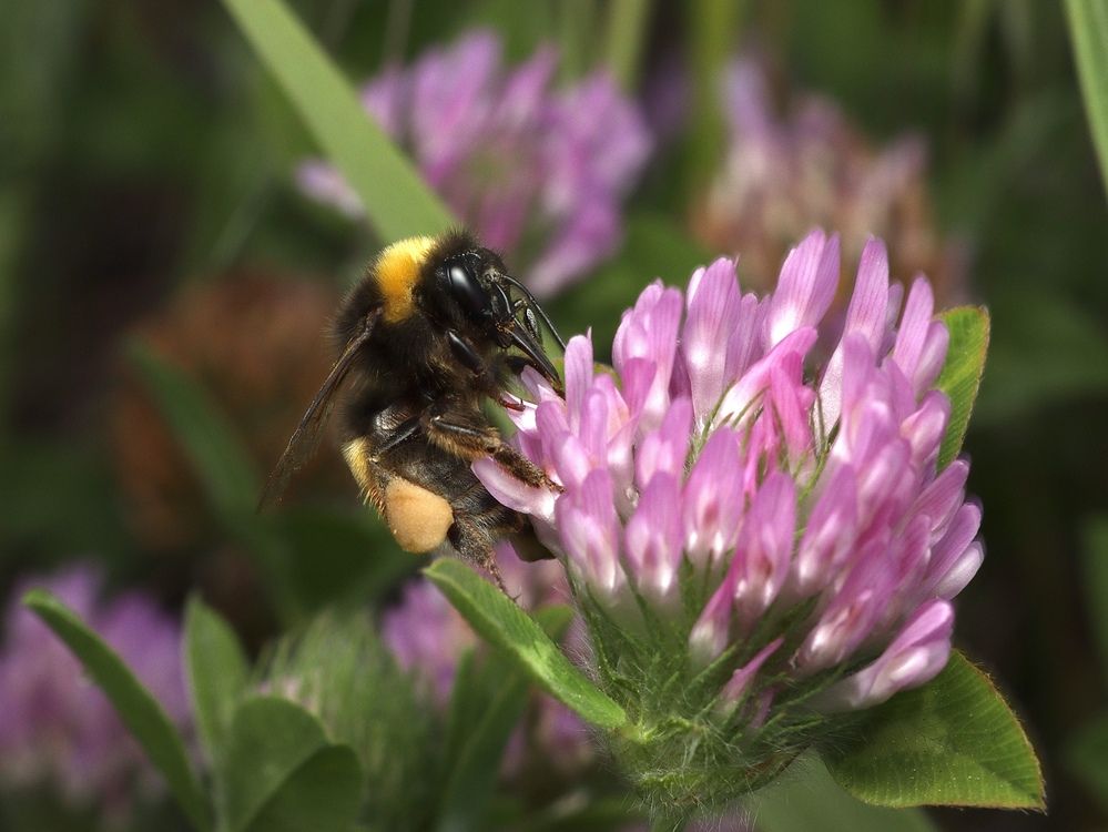Фотография автора Eduardo Salvador Cabrera