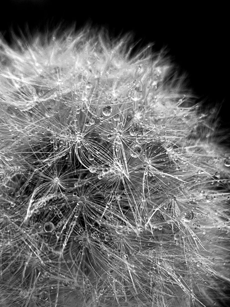 Фотография автора Екатерина Кузнецова