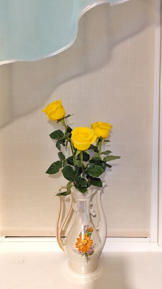 Photograph by Сергей Синьков