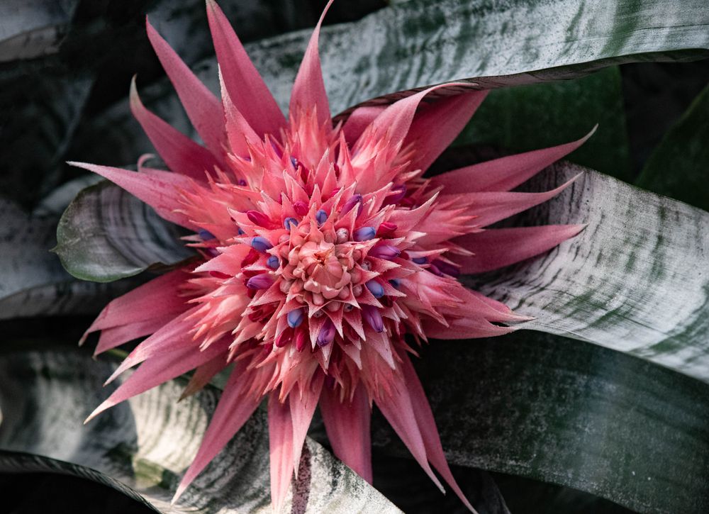 Фотография автора Aliaksandr Shautsou