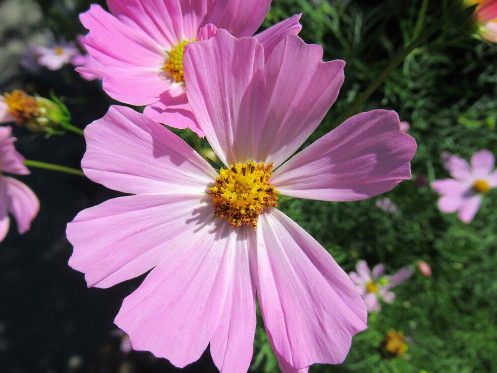 Photograph by Владимир