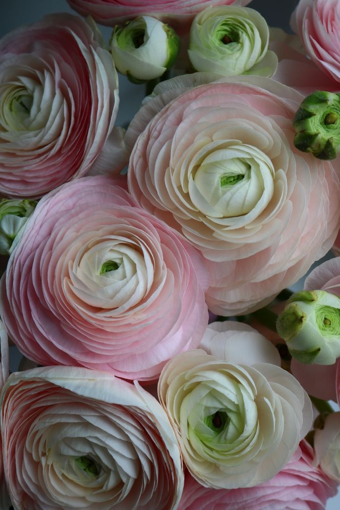 Photograph by Светлана Шуткова