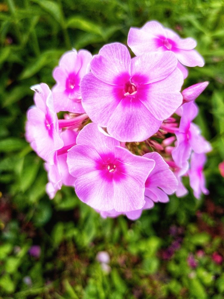 Photograph by Денис Умеренков