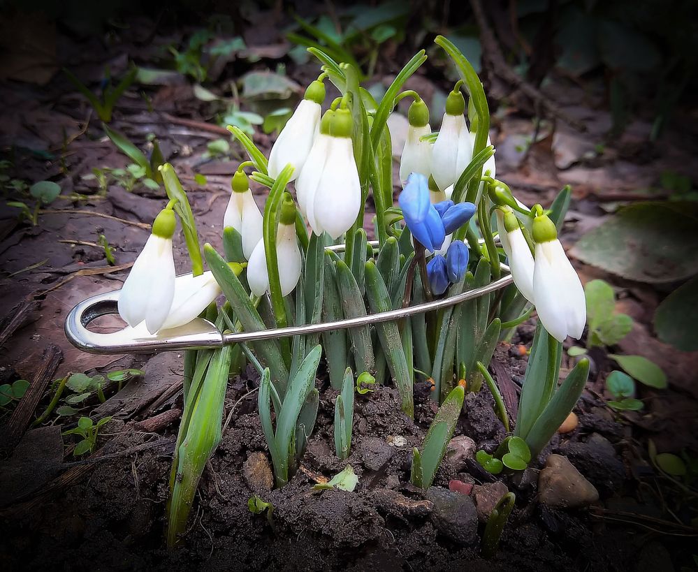 Нежность / Tenderness