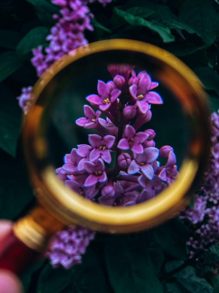 Photograph by Алиса Нежинская