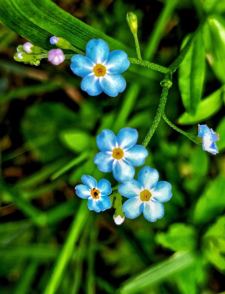 Photograph by Денис Умеренков