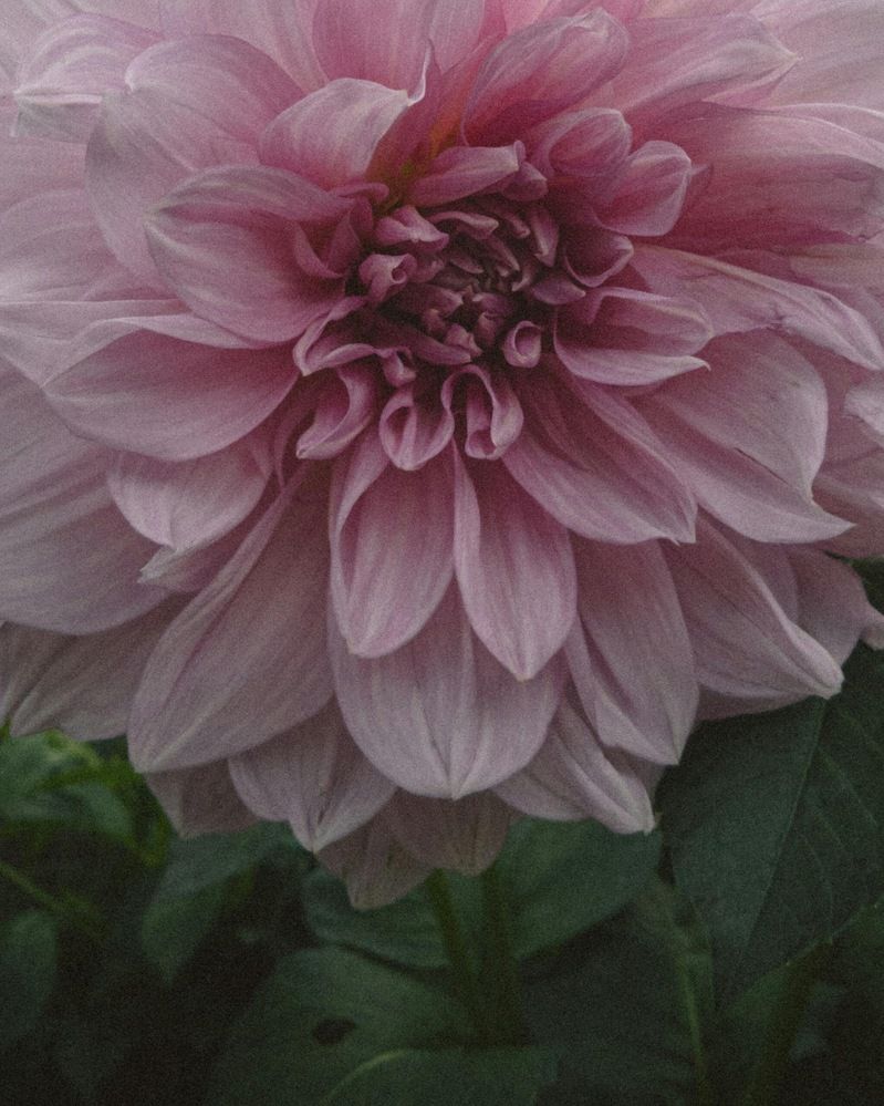 Photograph by Виктория Матушкина