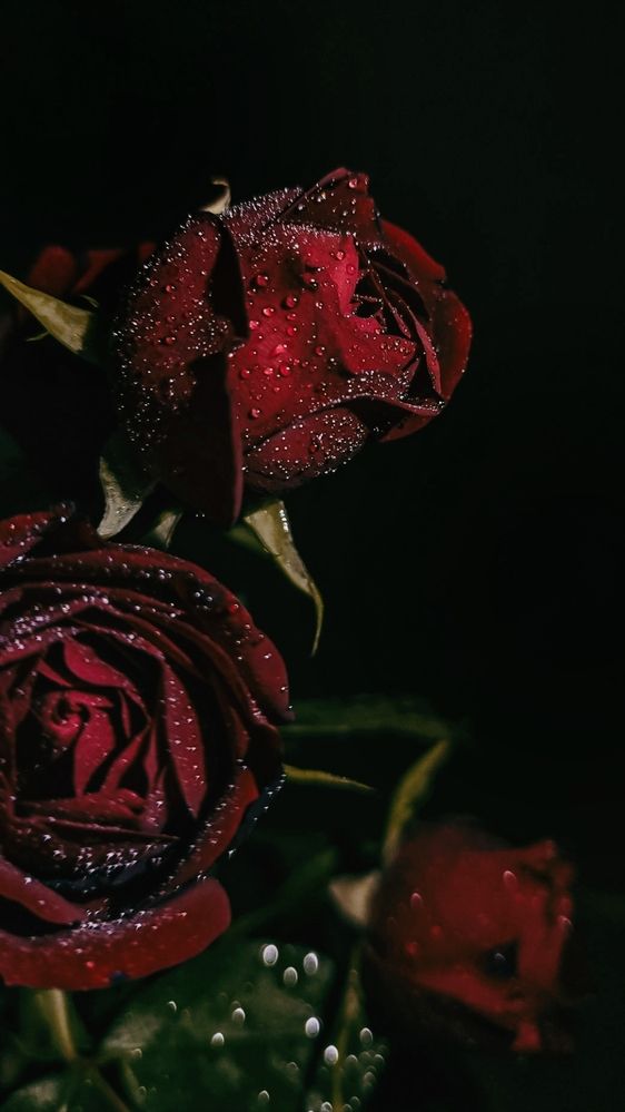 Photograph by Ирина Строкова