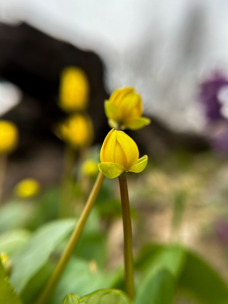 Photograph by Юлия Конопелкина