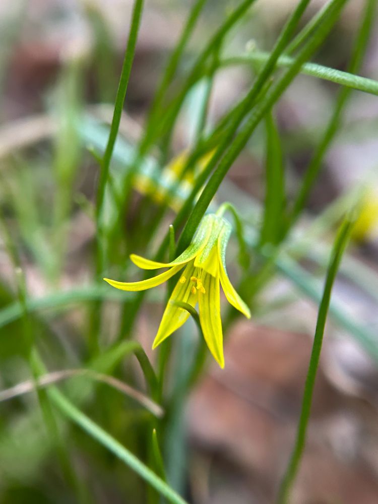 Photograph by Юлия Конопелкина