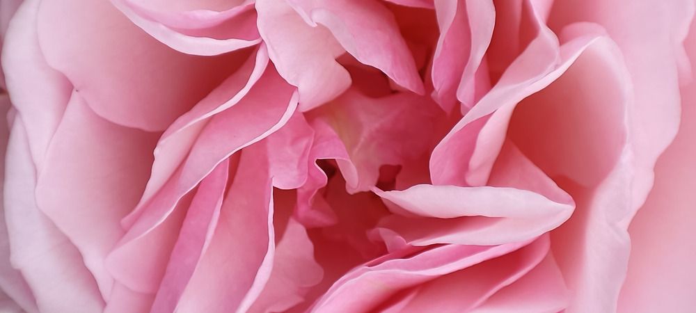 Фотография автора Ольга