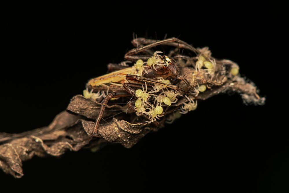 Photograph by ARUNAVA DEY