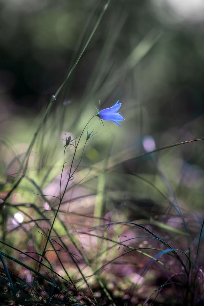 Одиночество