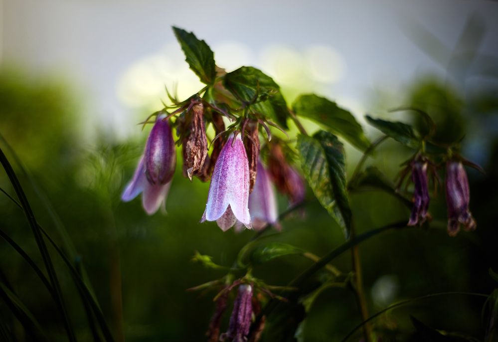 Photograph by Юлия Персинен