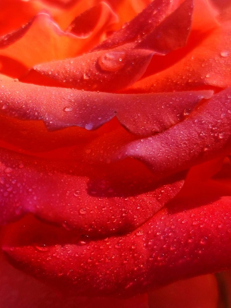 Photograph by Надежда Батракова