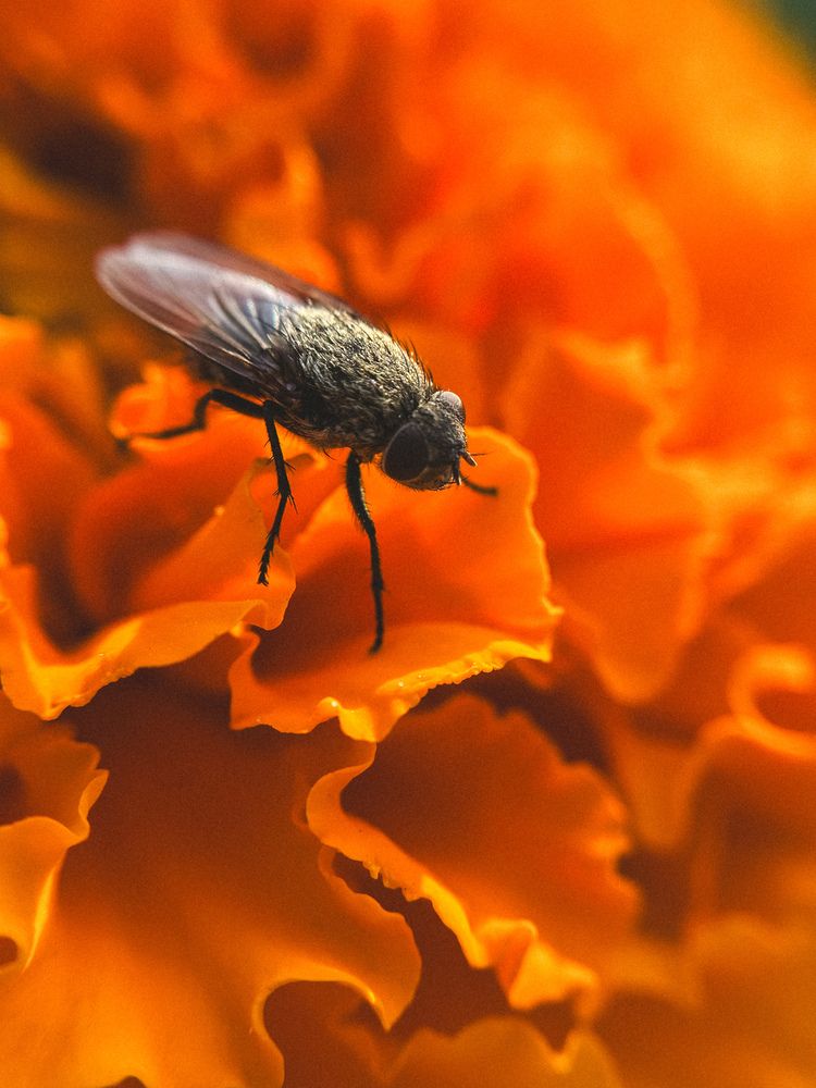 Фотография автора Анастасия