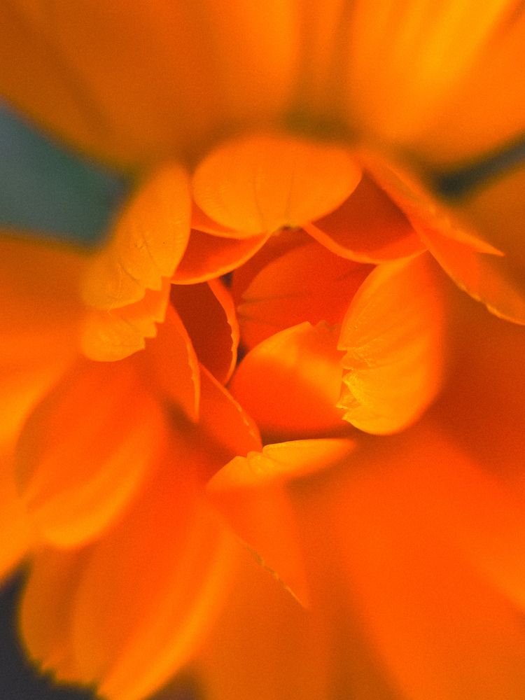 Фотография автора Анастасия