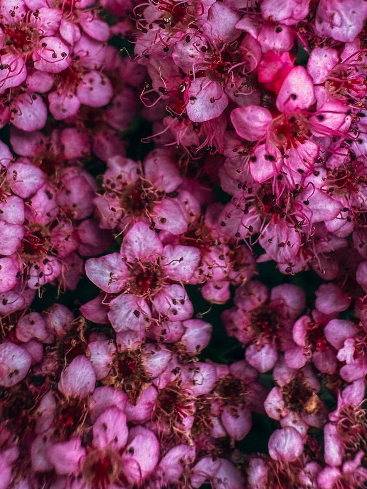 Photograph by Александра Кишикова