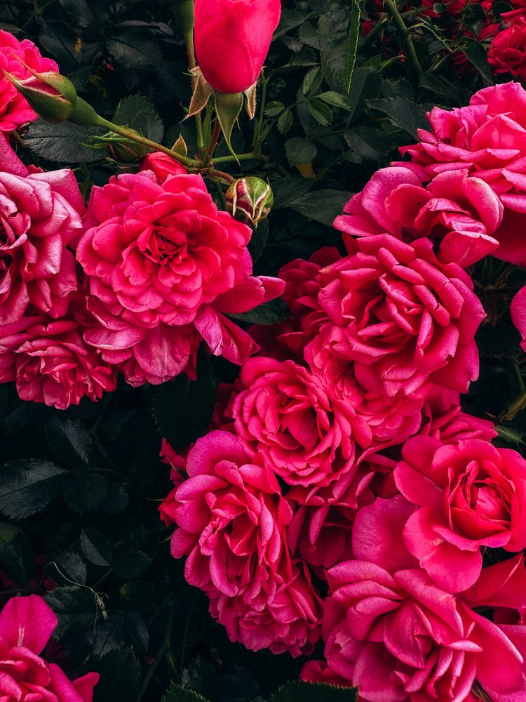 Photograph by Александра Кишикова