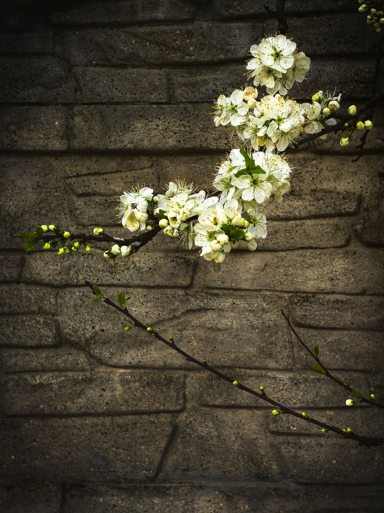 Photograph by Инна Невар