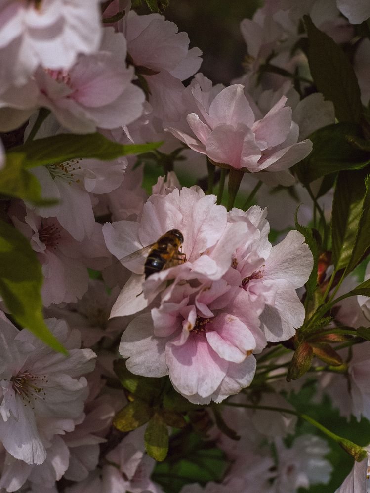 Photograph by Александра Кишикова