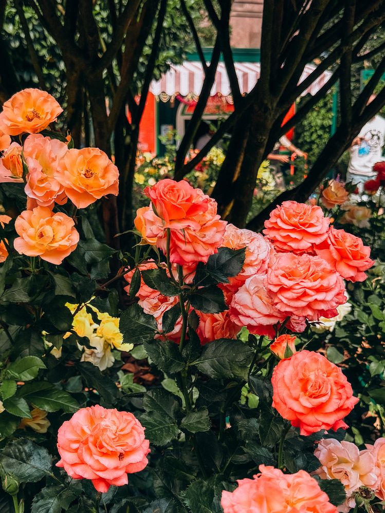 Photograph by Александра Кишикова
