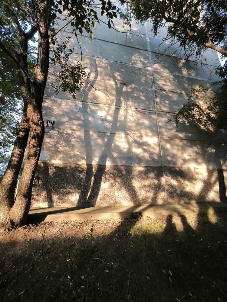 Photograph by Evgeniya Gribova