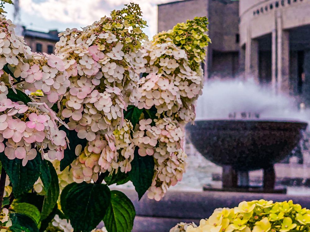 Photograph by Дайана