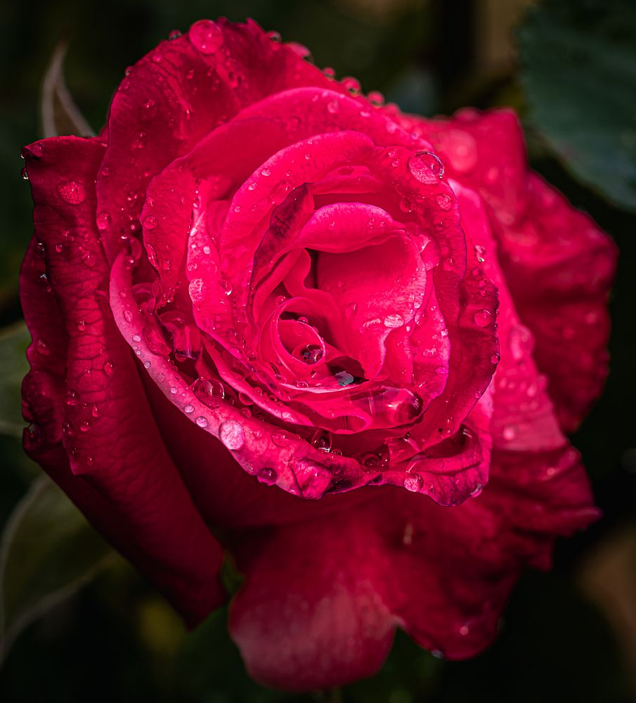 Photograph by Denis Cristian